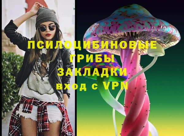 гашик Абаза