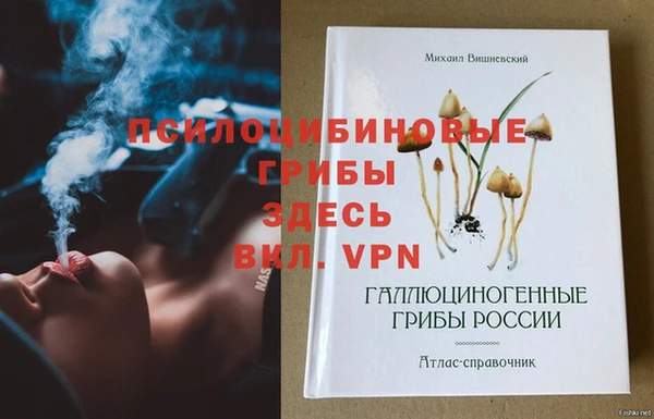 PSILOCYBIN Алексеевка