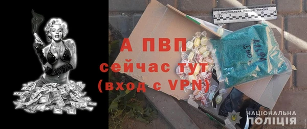 гашик Абаза